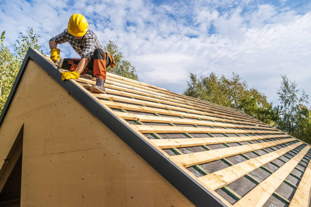 Roof Gutter Cleaning in Pleasant Garden, NC